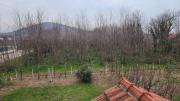 Top Podgorica