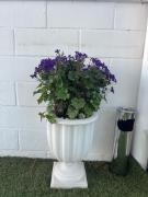 Top Mairena del Aljarafe