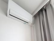 Top Wilkasy Top Wilkasy