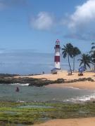 Top Salvador