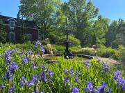 Top Wolfville