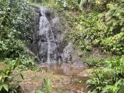 Top Bocas del Toro
