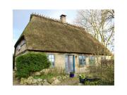 Comfortable thatched roof country house