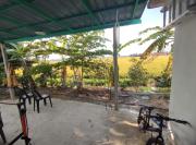 Top Arau
