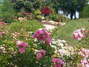 Top Neuville-de-Poitou