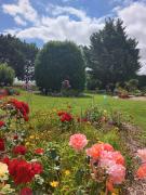 Top Neuville-de-Poitou