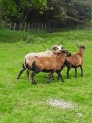 La Longère des Basses Terres