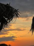 Top Amaliás Top Amaliás