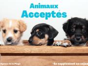 Top Saint-Hilaire-de-Riez