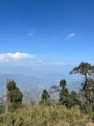 Top Mangpu