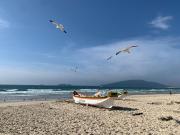 Apartamento Marisco pé na areia in Florianópolis