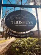Vakantievilla t Boshuys