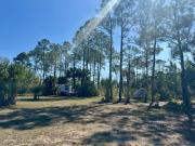 Top Clewiston