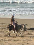Top Troncones