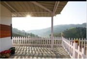 Top Ooty