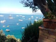Top Marina Grande Top Marina Grande