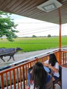 Top Baliuag
