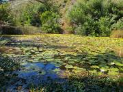 Top Franschhoek