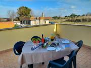 RicHouse by Holiday World