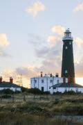 Top Dungeness