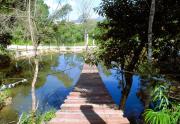 Top Campina Grande do Sul