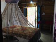 Coconut Grove Palolem