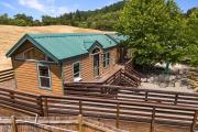 Top Willits