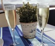 Top Codaruina Top Codaruina