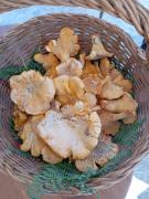 Hotel Ristorante Sturno