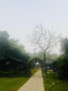 Top Alibaug