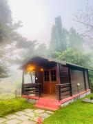 Top Alibaug