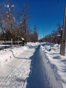 Top Las Trancas Top Las Trancas