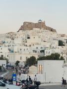 ANAX SUITE ANAX SUITE