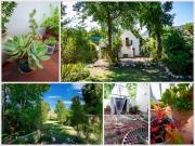 Top Greyton Top Greyton