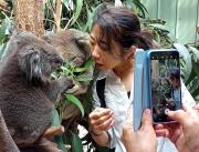 Fauna Australia Wildlife Experience