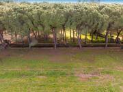 Top Rosignano Marittimo