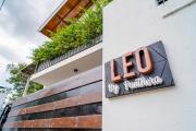 Leo by Panthera