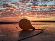 Top Merville-Franceville-Plage