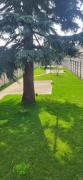 Top Brugherio