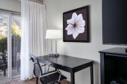 Top San Luis Obispo
