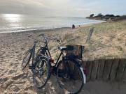 Top Sainte-Marie-de-Ré