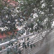 Top Thessaloniki