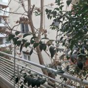 Top Thessaloniki