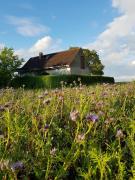 Ferienhaus Gransee unmittelbar am Stechlinsee - Radweg