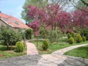 Top Sellingen Top Sellingen