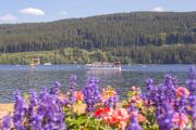 Top Titisee-Neustadt