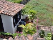 Top Icod de los Vinos