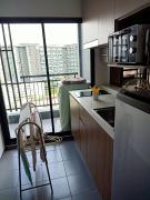 Deewhy NSW Australia