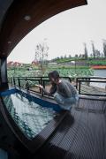 Top Wonosobo