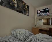 Top Jošanička Banja